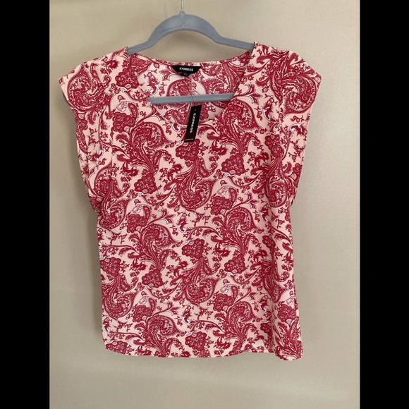 Express Tops - NWTs Express Pink Pale Paisley Silky Top Gramercy